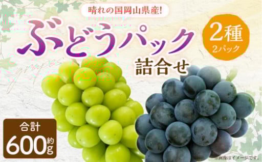 岡山県産 ぶどう パック 詰合せ ※2種2パックセット 計約600g 【2025年9月上旬～10月下旬発送予定】