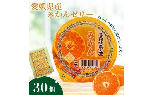 愛媛のみかんゼリー🍊30個入
