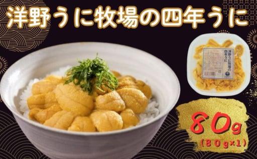 洋野うに牧場の四年うに 塩水パック 生うに ミョウバン不使用