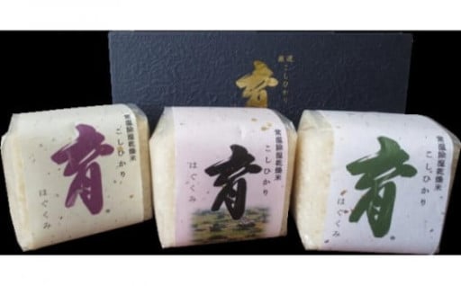 【富山市南砺市（なんとし）】【令和6年産】富山県産こしひかり　育（はぐくみ）贈答用　300ｇ（２合）３個入り