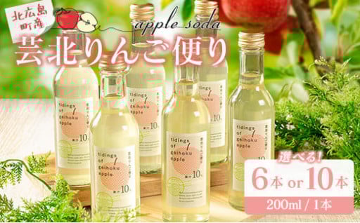 🍎芸北りんごソーダ10本セット🍹爽やか炭酸でリフレッシュ✨