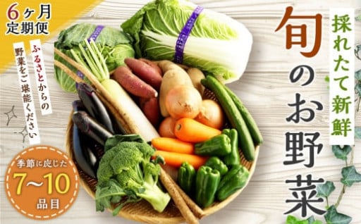 【6ヶ月定期便】生産者応援 採れたて新鮮 旬のお野菜 詰め合わせセット