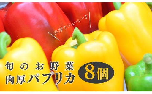 有機肥料を使い、減農薬栽培で育った「パプリカ」