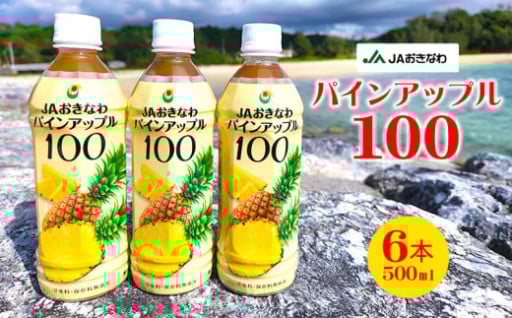 パインアップル100（PET500ml）6本セット