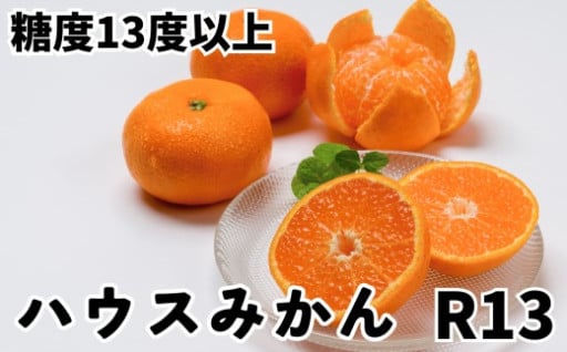 【糖度13度以上！】プレミアムハウスみかん1kg