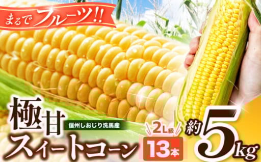 【先行予約】極甘スイートコーン 約5㎏ 13本