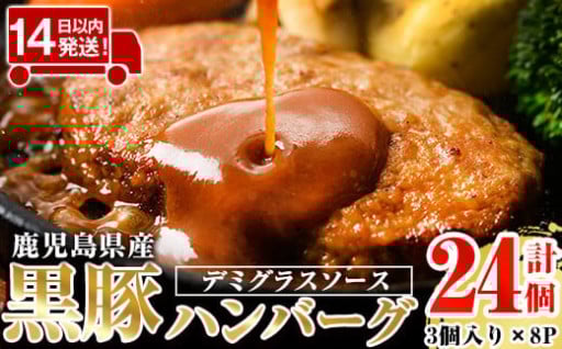 鹿児島県産黒豚ハンバーグ 計24個 (210g(3個入り)×8パック)