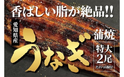 ＜着日指定必須＞【特大・国産うなぎ・蒲焼２尾】養鰻場を知るこだわり大将の絶品うなぎ