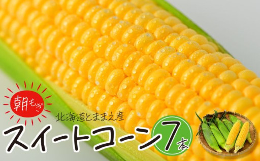 令和7年産『北海道とままえ産スイートコーン』先行受付始まりました！！