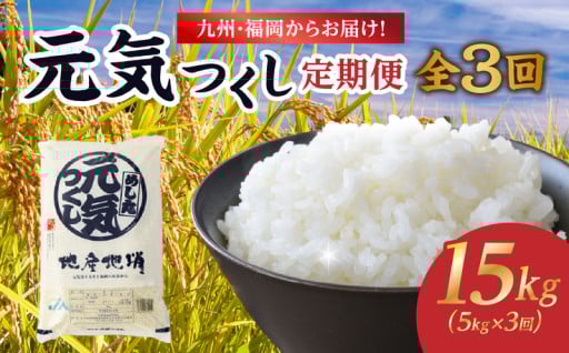 福岡！ブランド米「元気つくし」定期便【全３回】
