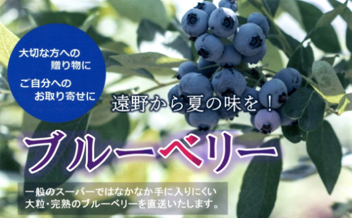 生ブルーベリー 大粒 完熟 遠野産 400g