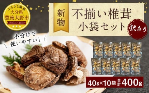 新物 不揃い 椎茸 10袋セット 乾燥 乾燥しいたけ 【2025年4月上旬以降順次発送】