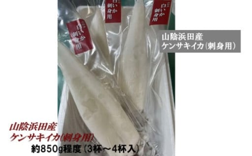 ねっとりと甘い😋🦑ケンサキイカ🦑