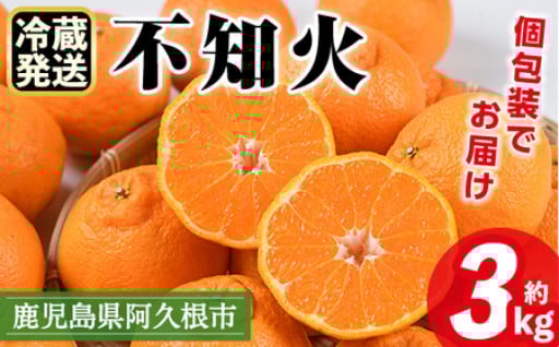 数量限定！冷蔵不知火「クールな大将季」(計約3kg) 