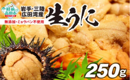 2025年5月頃から発送【先行予約】無添加 生うに250g(塩水パック) 獲れたて直送！