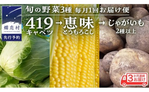 【7月発送開始】 《3か月定期便》旬の野菜3種♪