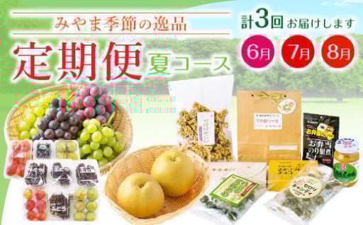 季節の逸品 夏 特産品 定期 フルーツ 詰め合わせ