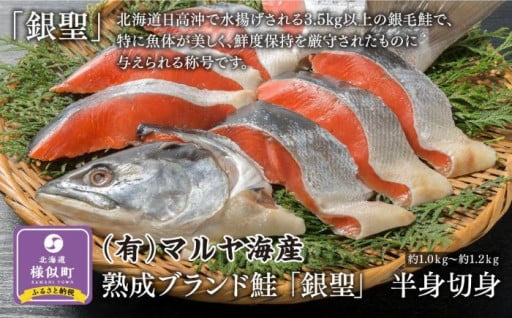 【ブランド鮭「銀聖」】熟成　半身切身  (約1.0kg～約1.2kg)