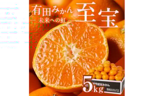 日本初の自治体認定した有田市認定みかん！「未来への虹」の上位品をお届けします🍊