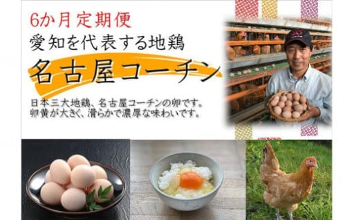 【6か月定期便】日本三大地鶏！！ 「純系　名古屋コーチンの卵」（30個） 