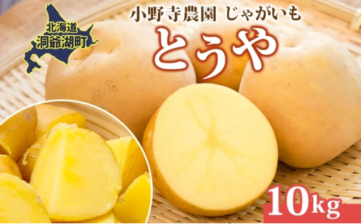 この秋収穫の新じゃが「とうや」の受付開始！