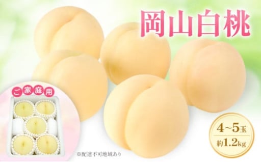 【ご家庭用】 岡山白桃 エース 4～5玉 約1.2kg (6月下旬～7月下旬出荷予定)