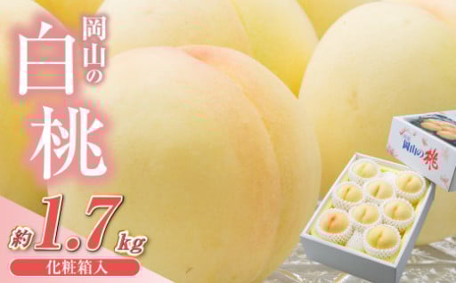 【先行予約】岡山県産　白桃8玉（1.7kg以上）化粧箱入り【2025年7月上旬-8月上旬 発送予定】