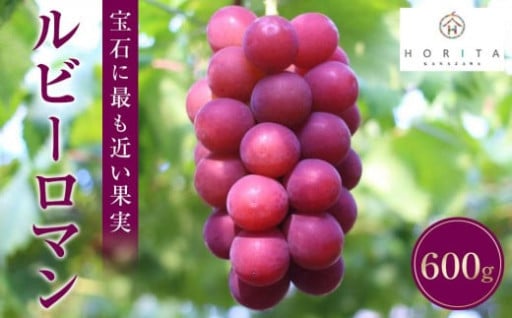 高級ぶどう【先行予約】ルビーロマン 600g