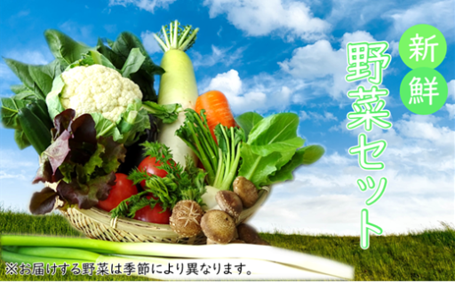 【安全・安心・産直直送！】季節の野菜詰め合わせ