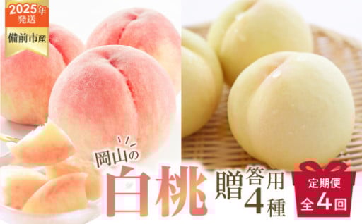 【定期便】樹上完熟の岡山県産桃🍑 