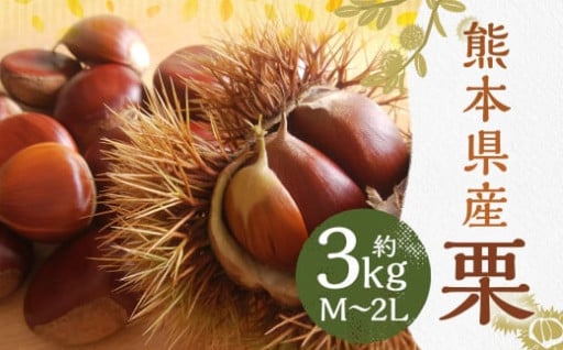 栗 約3kg（M～2Lサイズ）