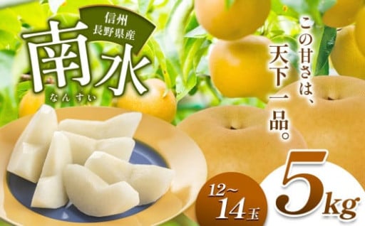 【2025年 先行予約】南水 約5kg （ 12 ～ 14 玉 ）