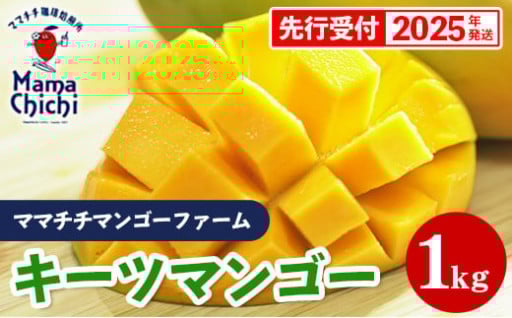 【先行受付】ママチチマンゴーファームのキーツマンゴー約1kg【2025年発送】