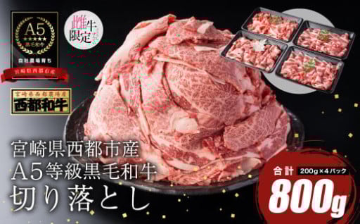 最高品質のA5等級 黒毛和牛切り落とし800g 