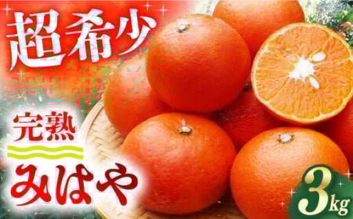 まろやかな果肉とあふれる果汁の完熟みはや🍊