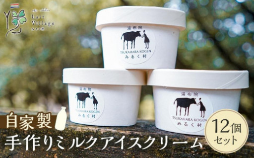 自家製手作りミルクアイスクリーム 12個 セット【みるく村 レ・ビラージュ】Lait Village 塚原高原 