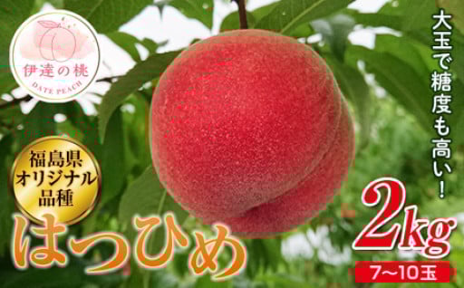 【5月30日で受付終了】福島県産 はつひめ 2kg