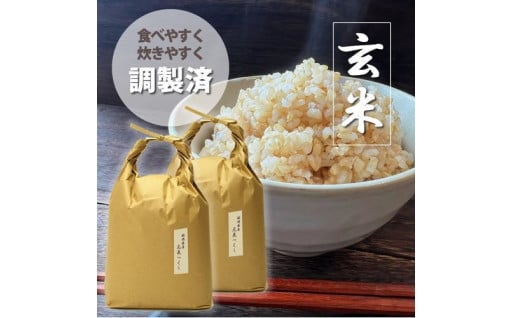 ＜令和6年産＞福岡県産【特A】評価のお米「元気つくし」5kg×2袋 [10kg] [玄米] 