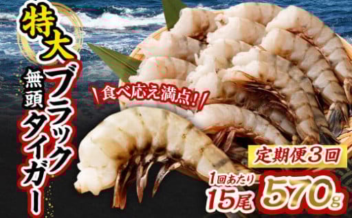 【3回定期便】特大 ブラックタイガー 無頭えび 570g前後（15尾）×3回