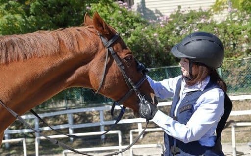 始めてみませんか？30分の乗馬レッスン♪