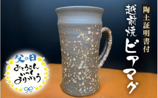 【父の日限定】伝統工芸「越前焼」のビアマグ🍺