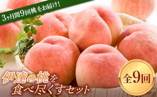 【5月30日で受付終了!】定期便 全9回