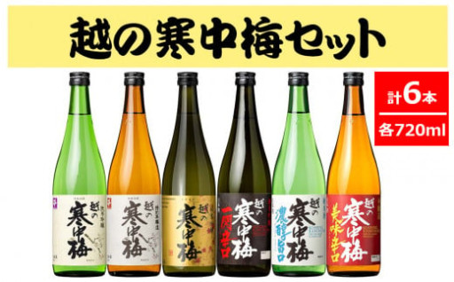 日本酒 越の寒中梅 6種類飲み比べセット 720ml×6本 淡麗辛口 新潟銘醸