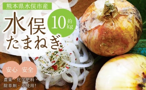 水俣 サラダ玉ねぎ 10kg
