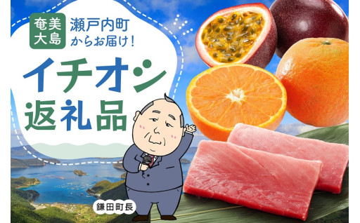 奄美大島 瀬戸内町からお届け！イチオシ返礼品特集
