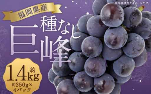 種なし巨峰 約350g×4パック 計約1.4kg