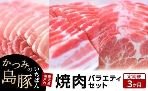 【定期便3か月】かつみの島豚いちばん焼肉バラエティセット 750g（250g×3パック）