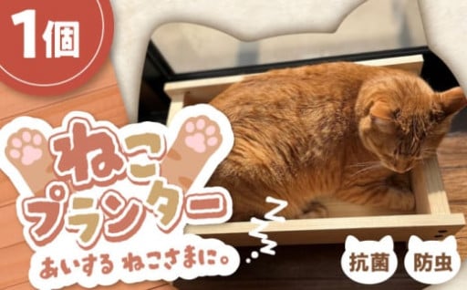 ヒノキの優しさで、猫ちゃんのくつろぎ時間♪