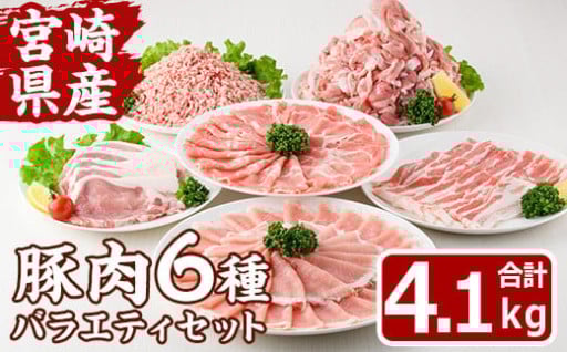 宮崎県産 豚 バラエティ セット(合計4.1kg・6種)