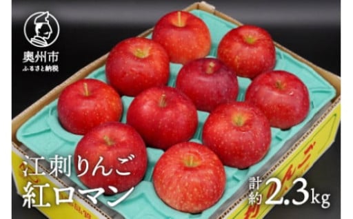 数量限定 江刺りんご 紅ロマン 2.3kg(8～11玉) 【8月下旬以降お届け】[AQ021]